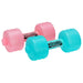 Dumbbell Weights | Fitness Gym Equipment Exercise A