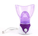 Hot-selling ion hot spray steamer Home steam beauty instrument