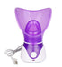 Hot-selling ion hot spray steamer Home steam beauty instrument Violet